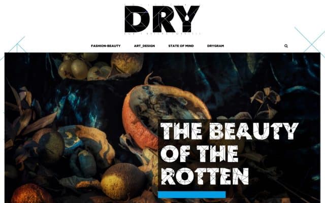 creazione sito blog magazine DRY