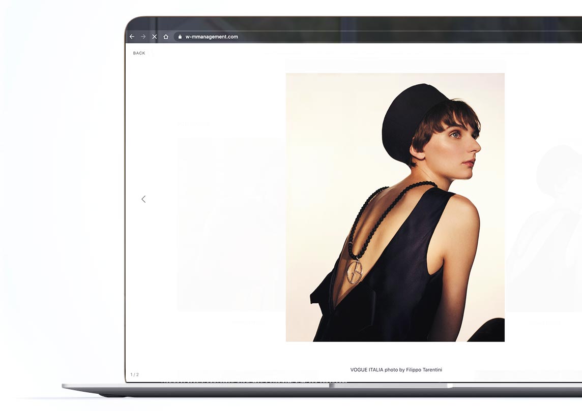 plugin wordpress album galleria immagini realizzazione plugin wordpress gallery album