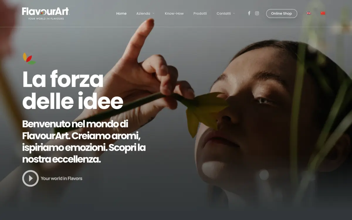 Realizzazione Siti Web per l'Industria Alimentare e il Beverage